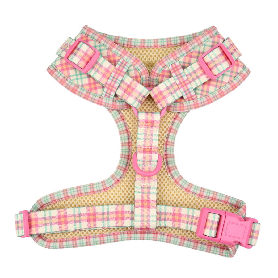 Adjustable Dog Harness - Aurora