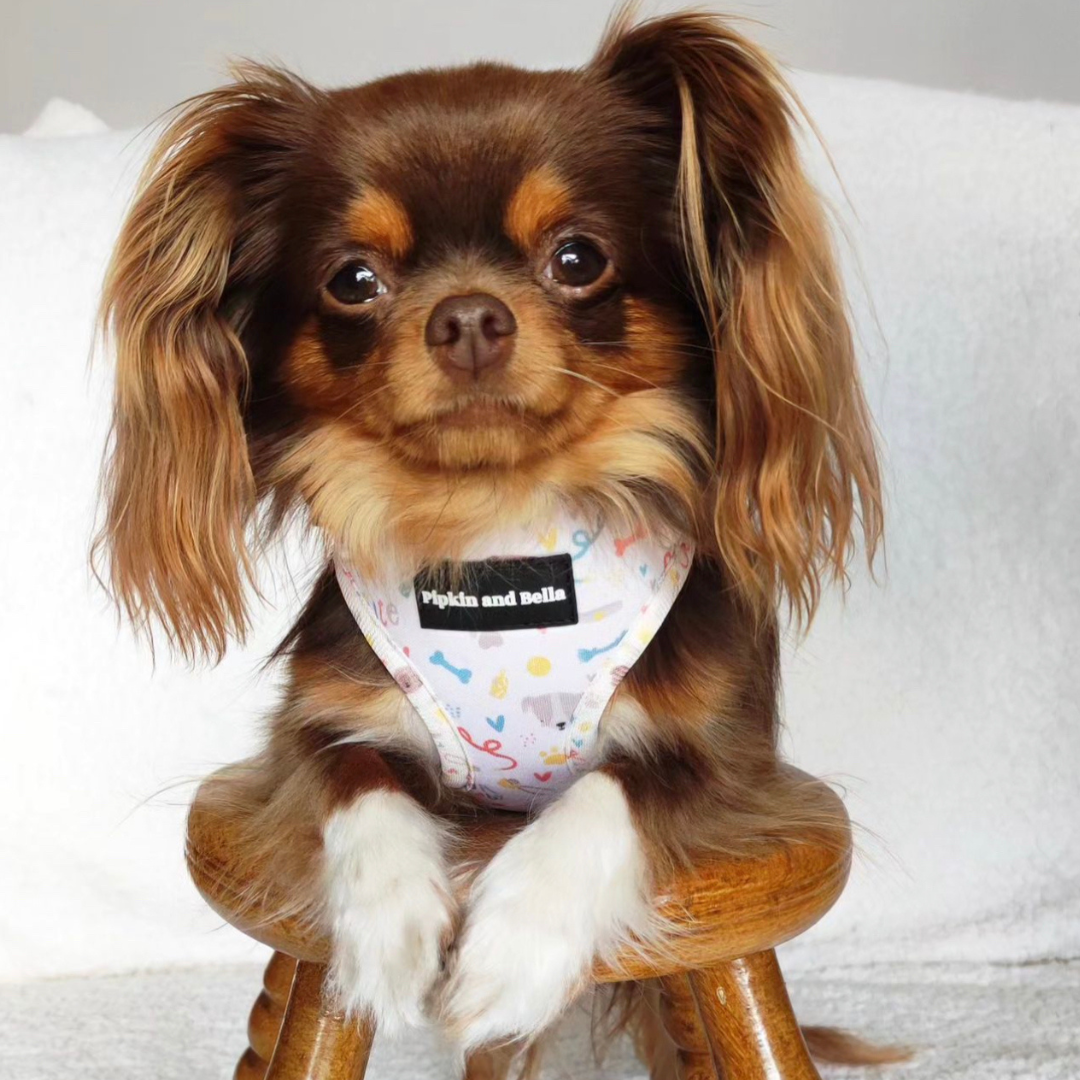 Adjustable Dog Harness - Cute Fur Baby