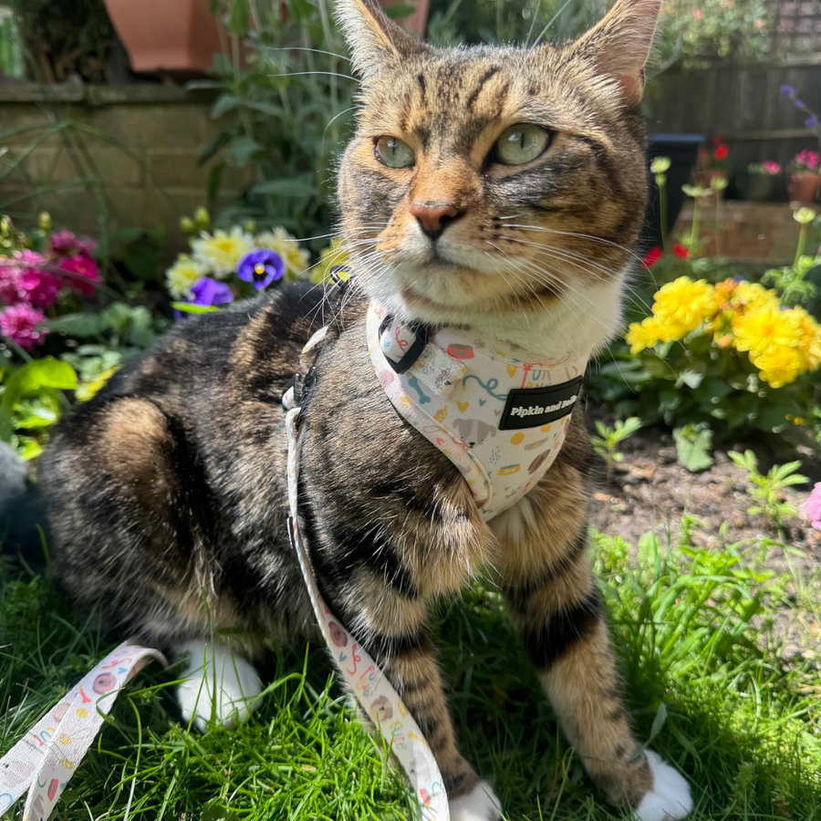 Fabric Cat Lead - Cute Fur Baby