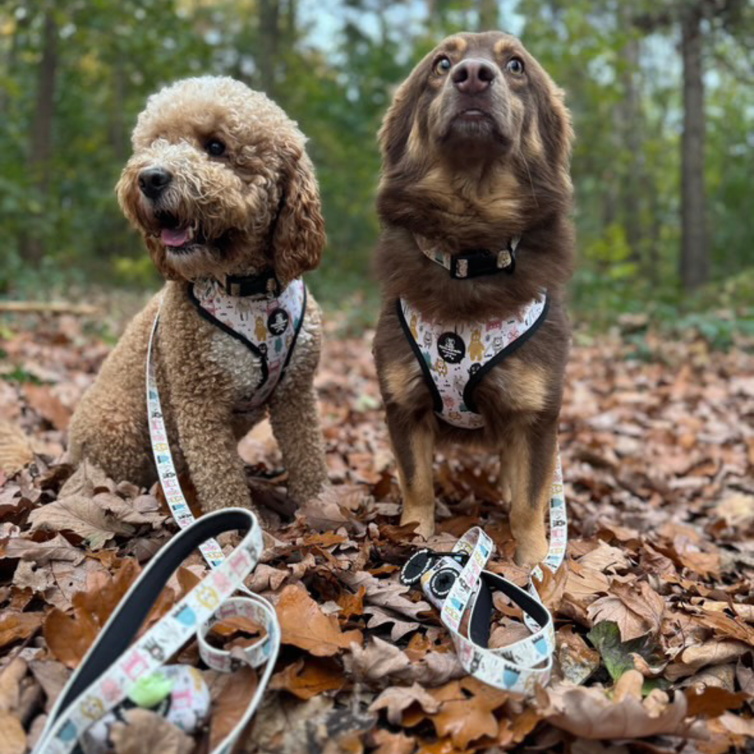 Pet Poop Bag Holder - Monster Mash