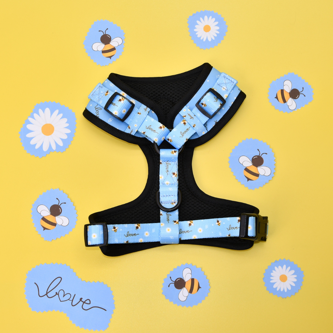 Adjustable Dog Harness - Bee Love