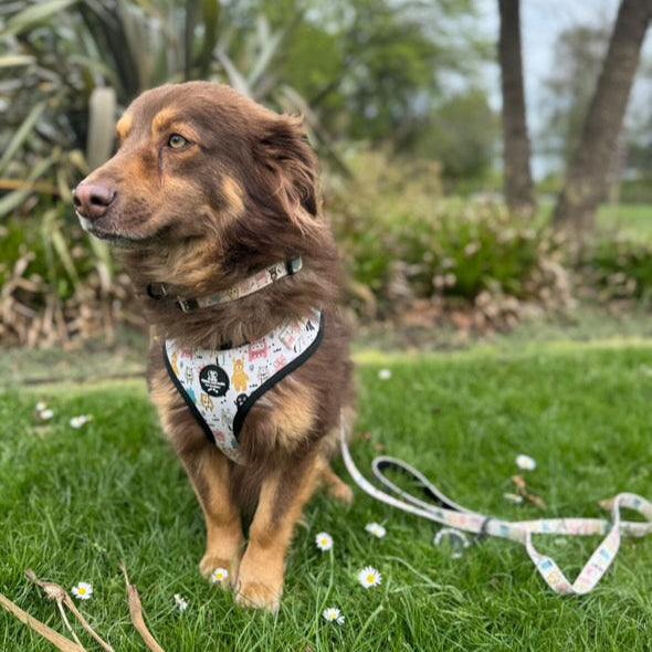 Adjustable Dog Harness - Monster Mash