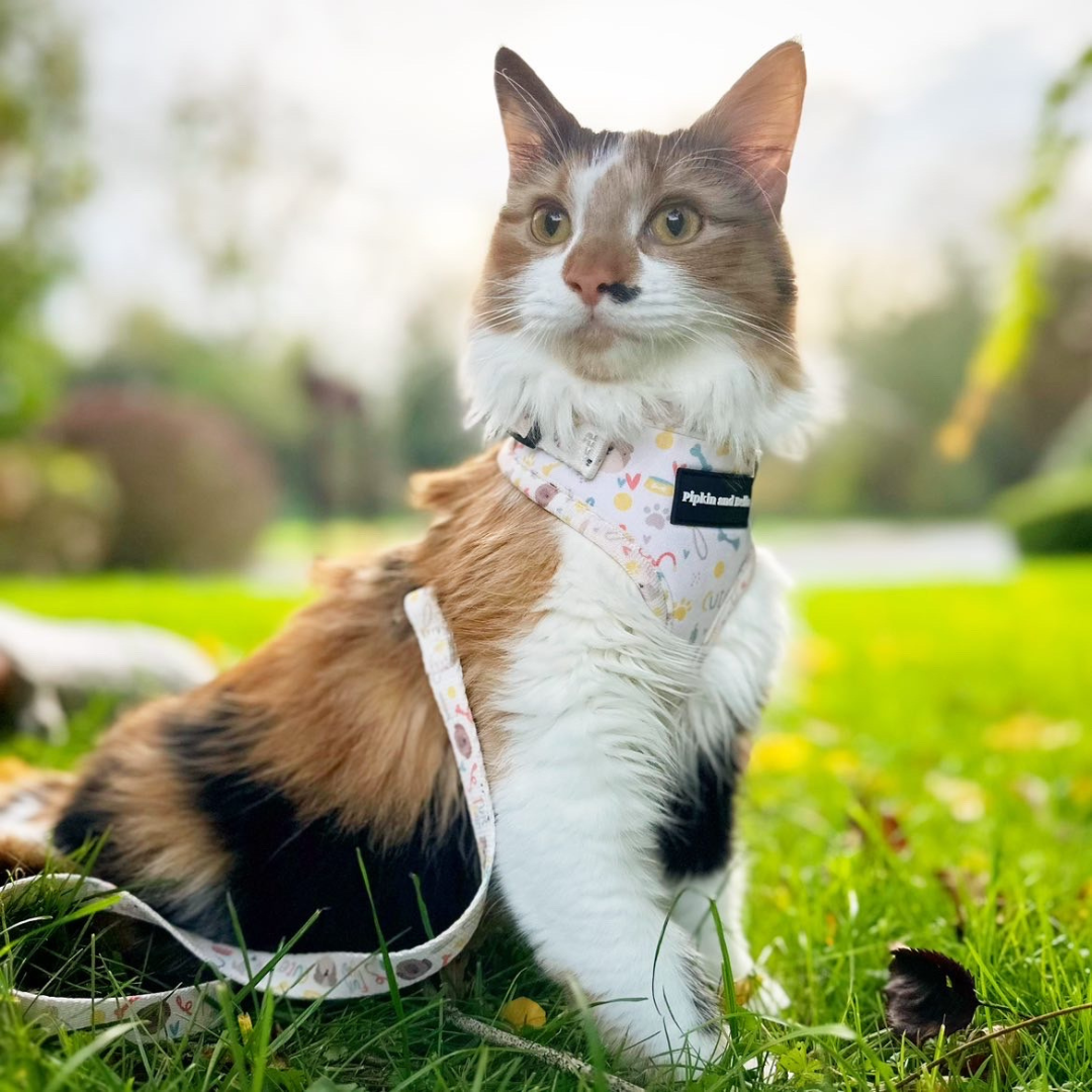 Fabric Cat Lead - Cute Fur Baby