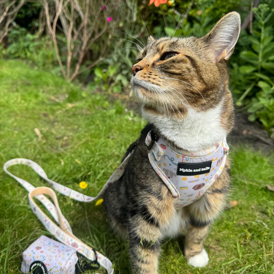 Fabric Cat Lead - Cute Fur Baby