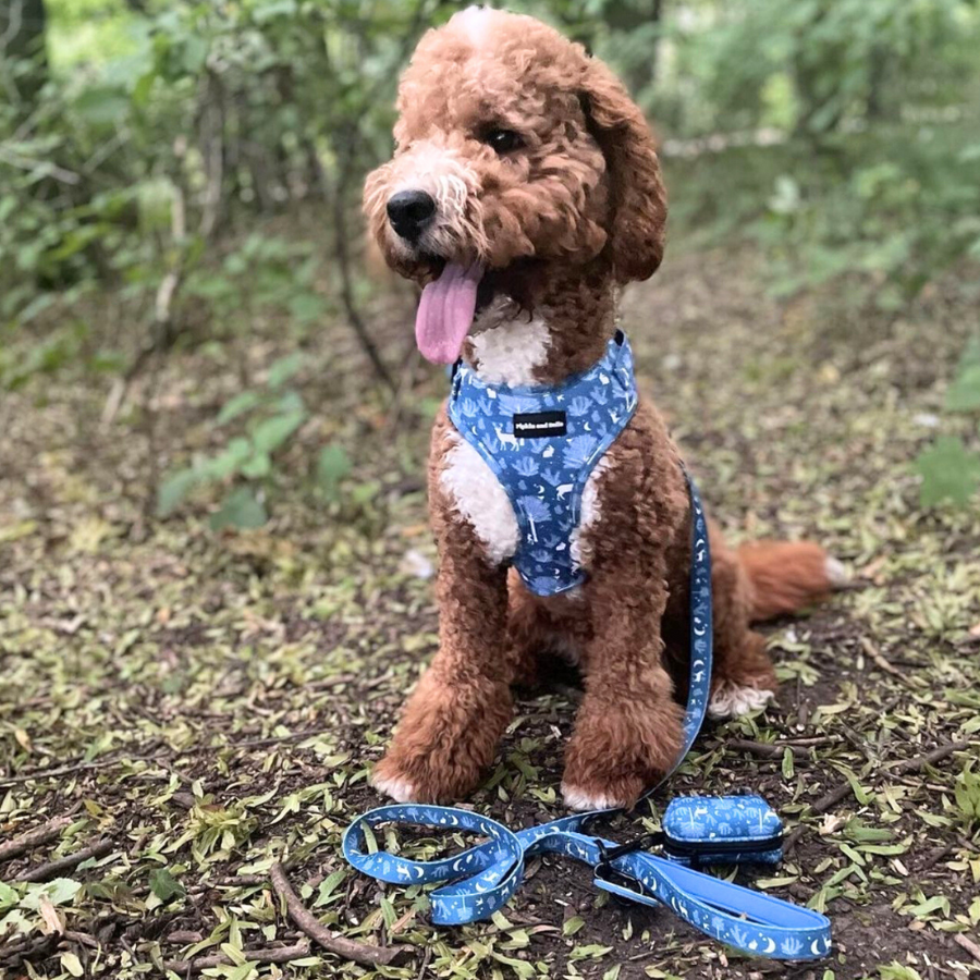 Pet Poop Bag Holder - Moonlight Walk