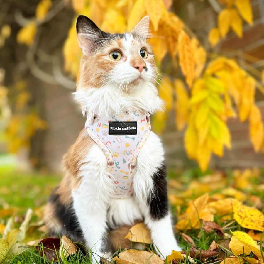 Adjustable Cat Harness - Cute Fur Baby