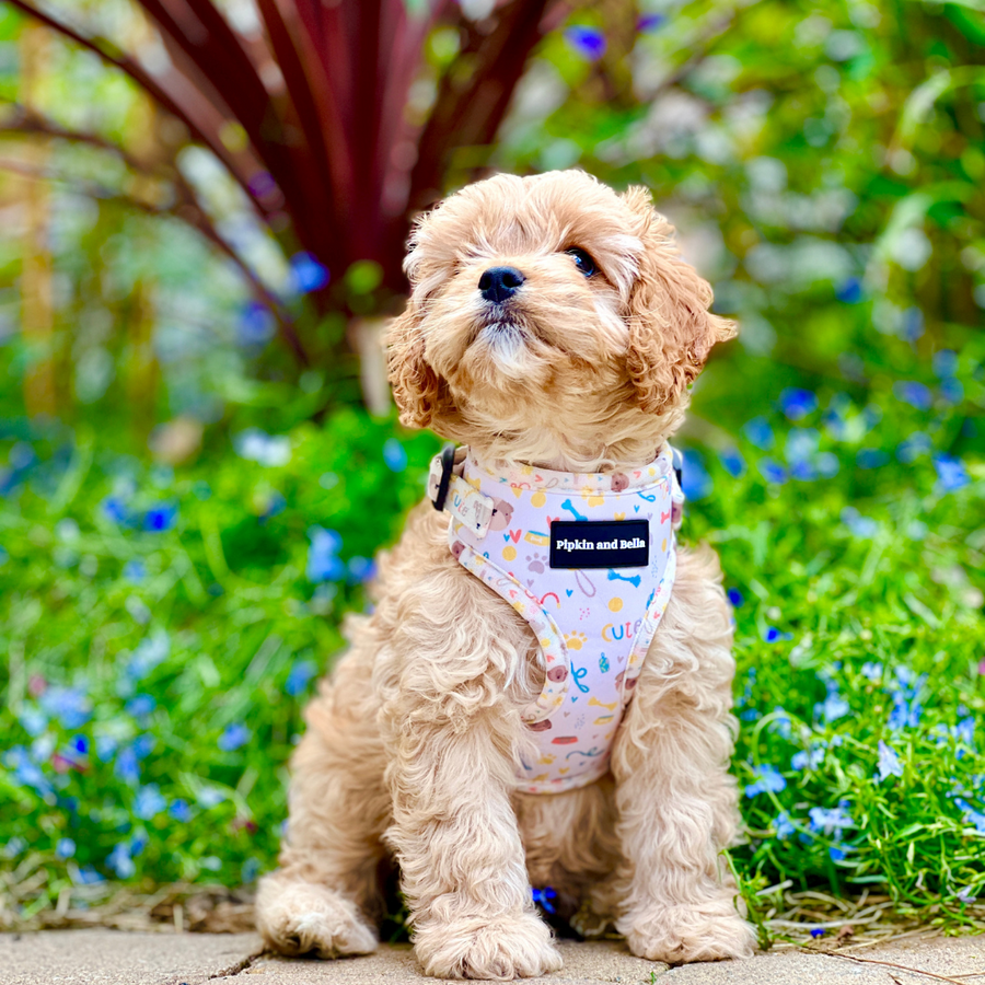 Adjustable Dog Harness Cute Fur Baby