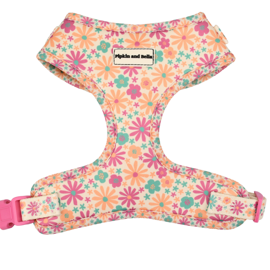 Pipkin and Bella Adjustable Cat Harness - Blossom
