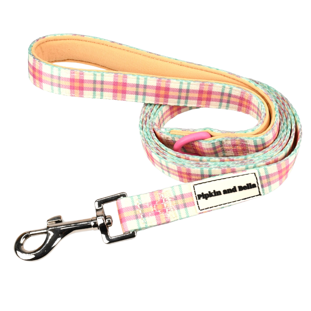 Fabric Dog Lead - Aurora