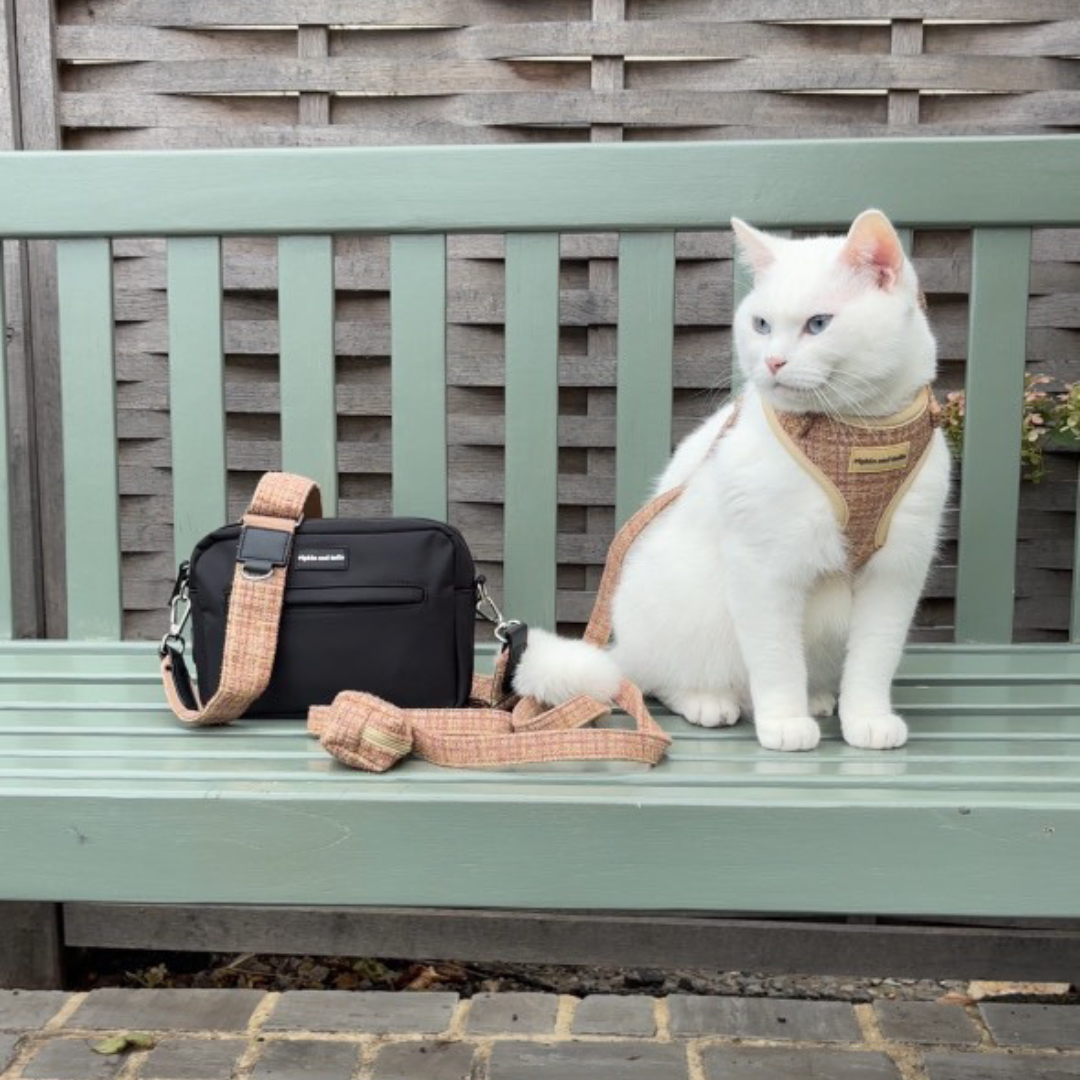 Walking Bag - Midnight Black