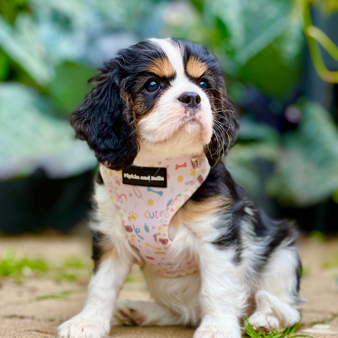 Adjustable Dog Harness - Cute Fur Baby