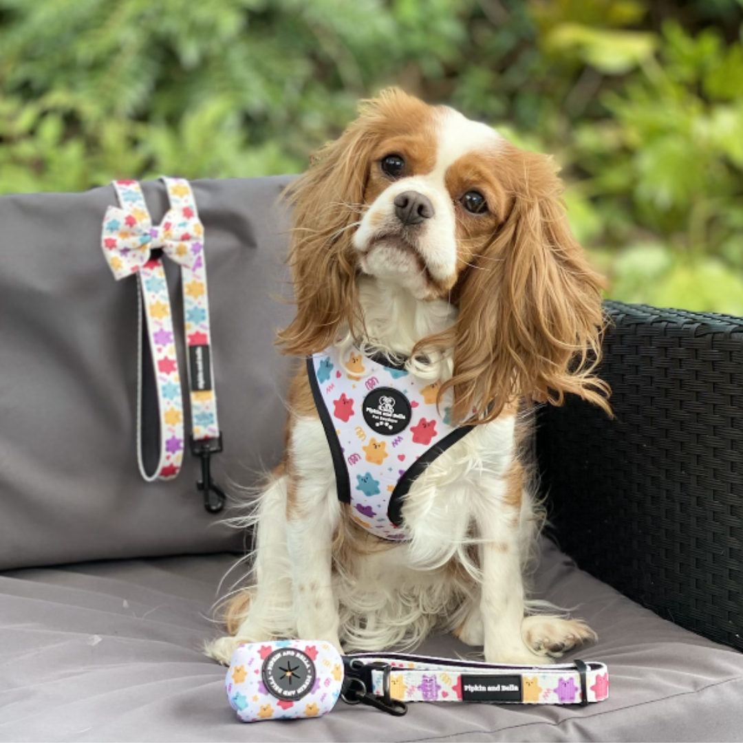 Adjustable Dog Collar - Jellie Bubba