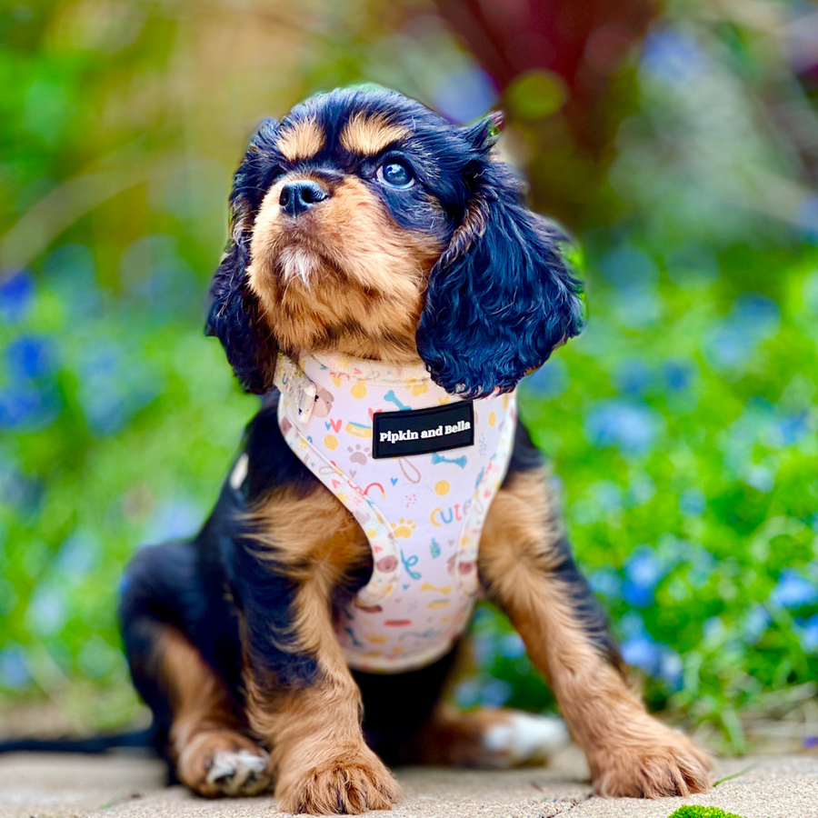 Adjustable Dog Harness - Cute Fur Baby