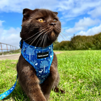 Adjustable Cat Harness - Moonlight Walk