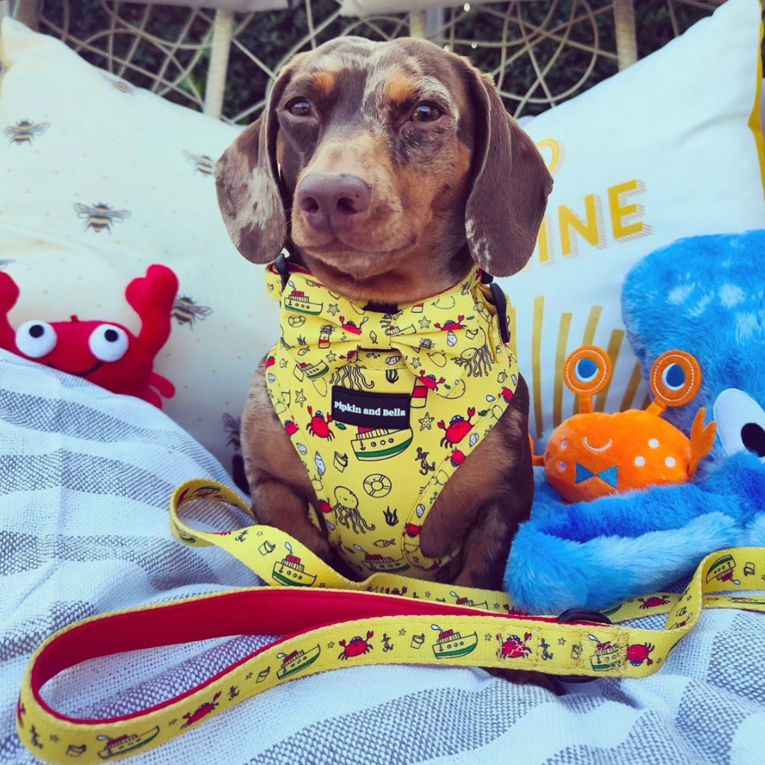 Puppia PATA-HA1714 Verna Harness A, Red, L