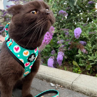 Adjustable Cat Harness - Heart 2 Heart