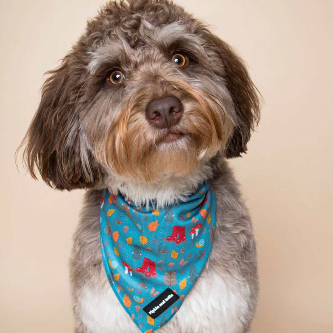 Pet Bandana - Wellie Walkies