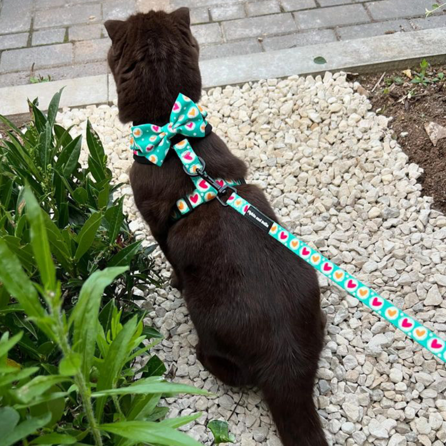 Adjustable Cat Harness - Heart 2 Heart