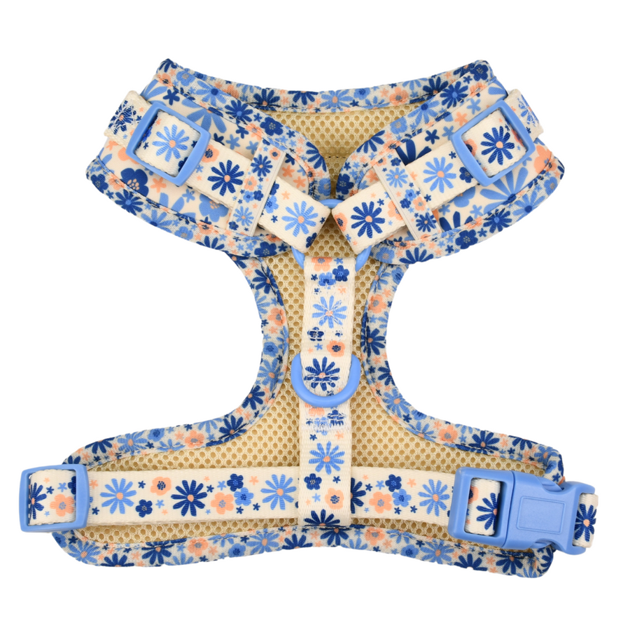 Adjustable Dog Harness - Meadow