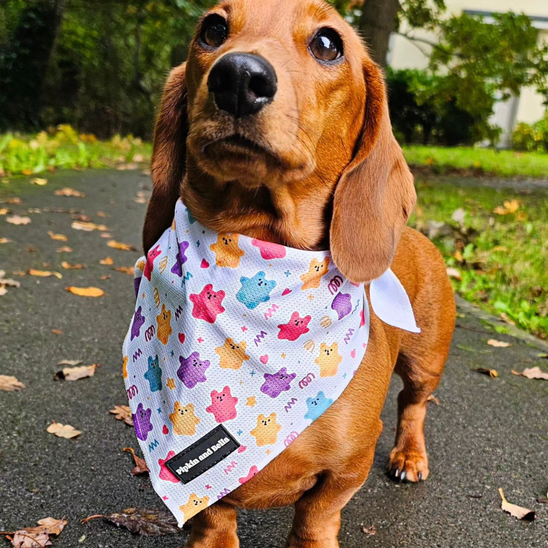 Pet Bandana - Jellie Bubba