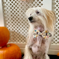 Pet Bow Tie - Monster Mash