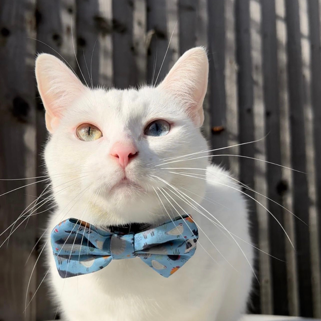 Pet Bow Tie - Farmyard Fairy Tale