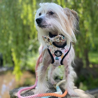 Adjustable Dog Harness - Monster Mash