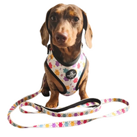 Fabric Dog Lead - Jellie Bubba