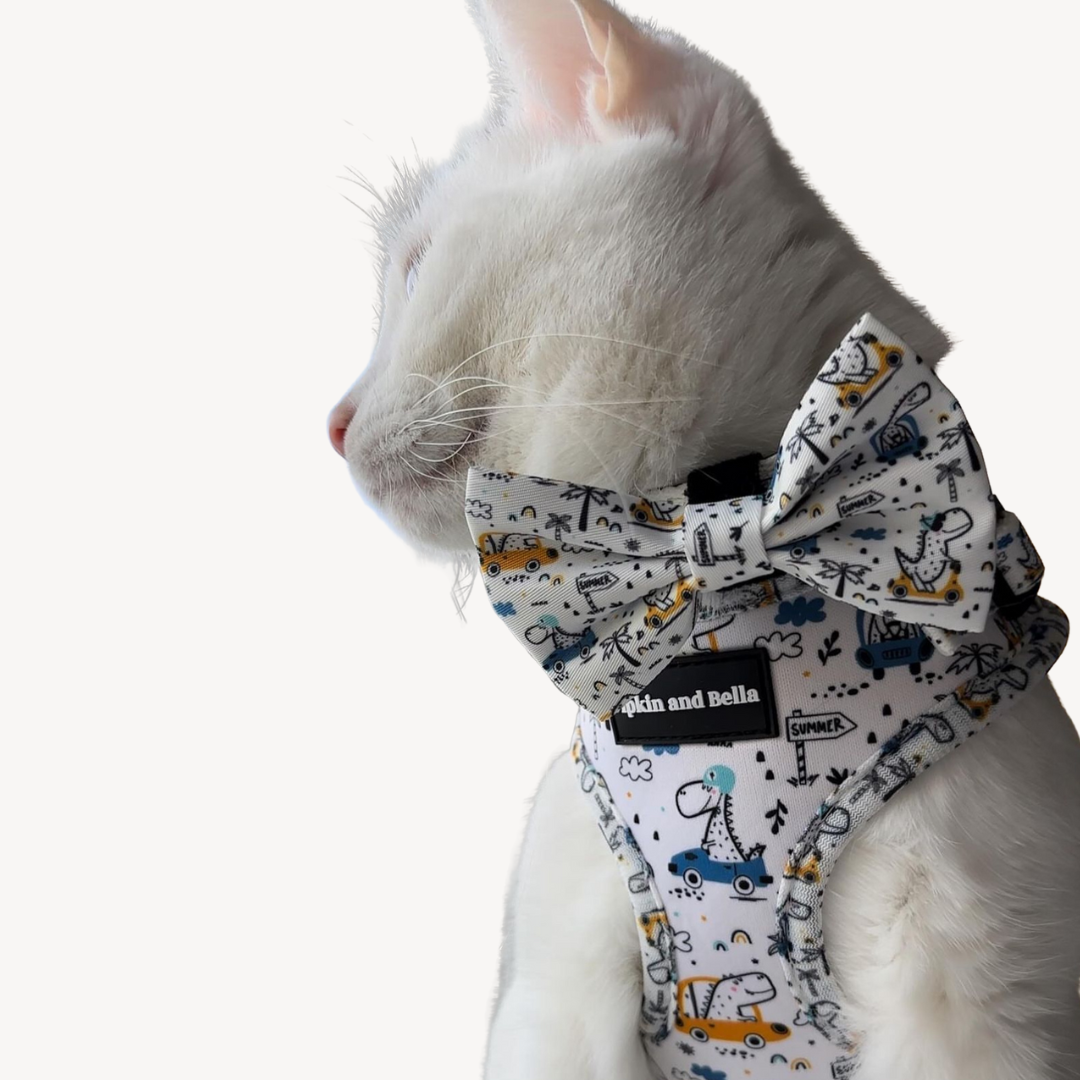 Adjustable Cat Harness - Dino Races