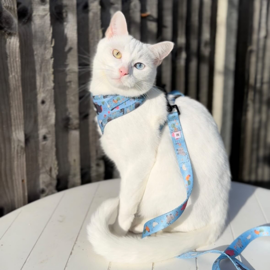 Adjustable Cat Harness - Farmyard Fairy Tale