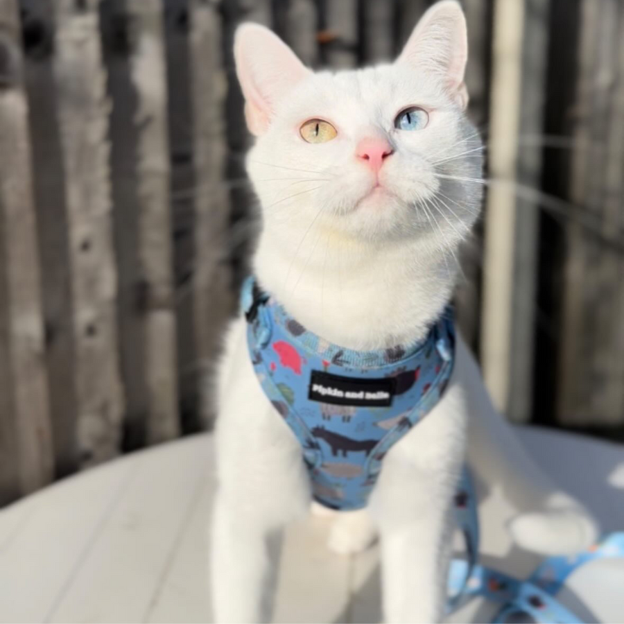 Adjustable Cat Harness - Farmyard Fairy Tale