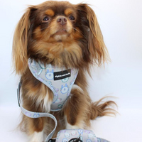 Pet Poop Bag Holder - Tick Tock