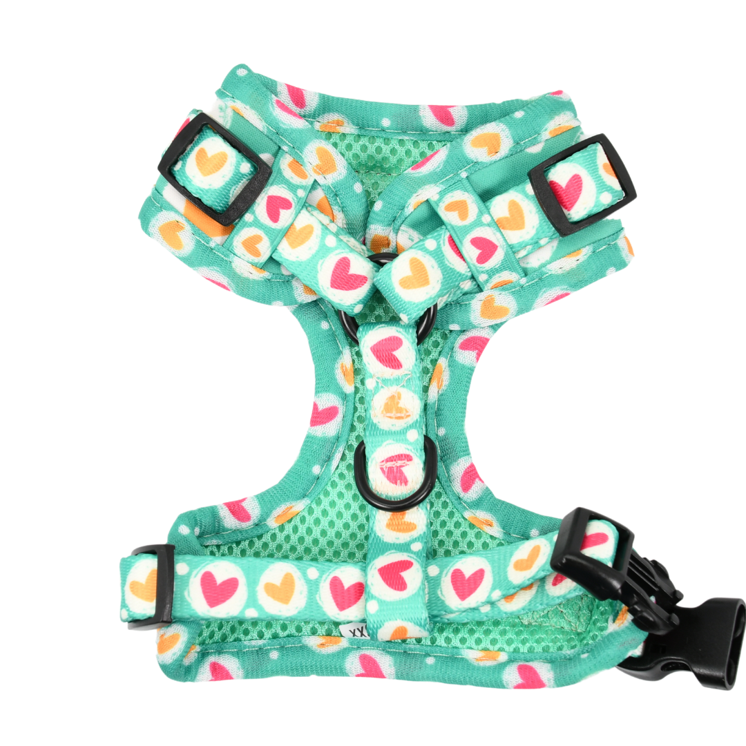 Adjustable Dog Harness - Heart 2 Heart