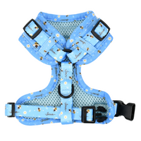 Adjustable Cat Harness - Bee Love