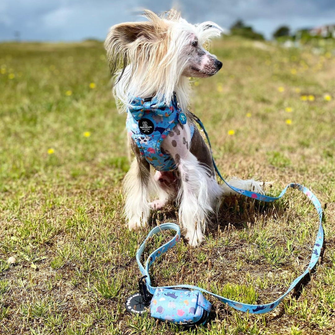 Pet Poop Bag Holder - Farmyard Fairy Tale