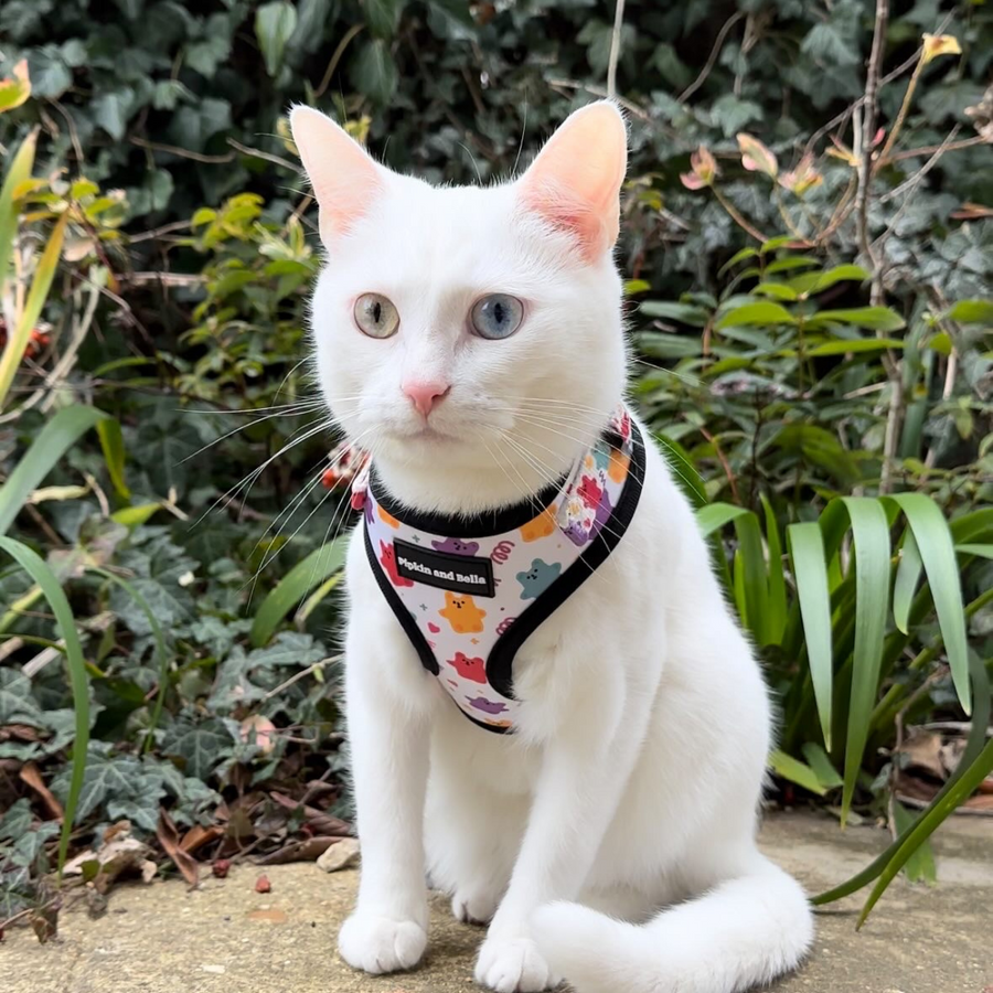 Adjustable Cat Harness - Jellie Bubba