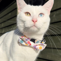 Adjustable Cat Collar - Jellie Bubba