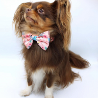 Pet Bow Tie - Ellie Funk