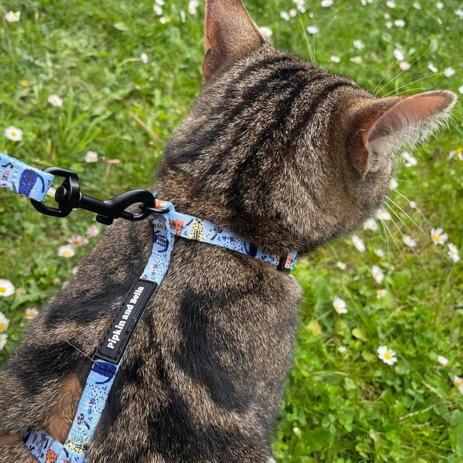 Adjustable Cat Harness - Purrfect Catitude - Blue