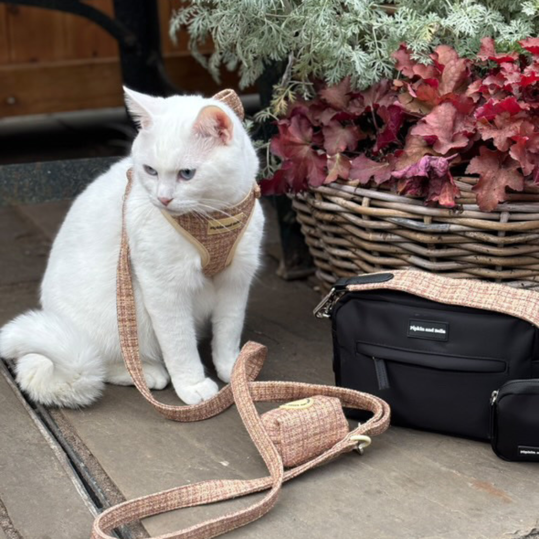 Walking Bag - Midnight Black