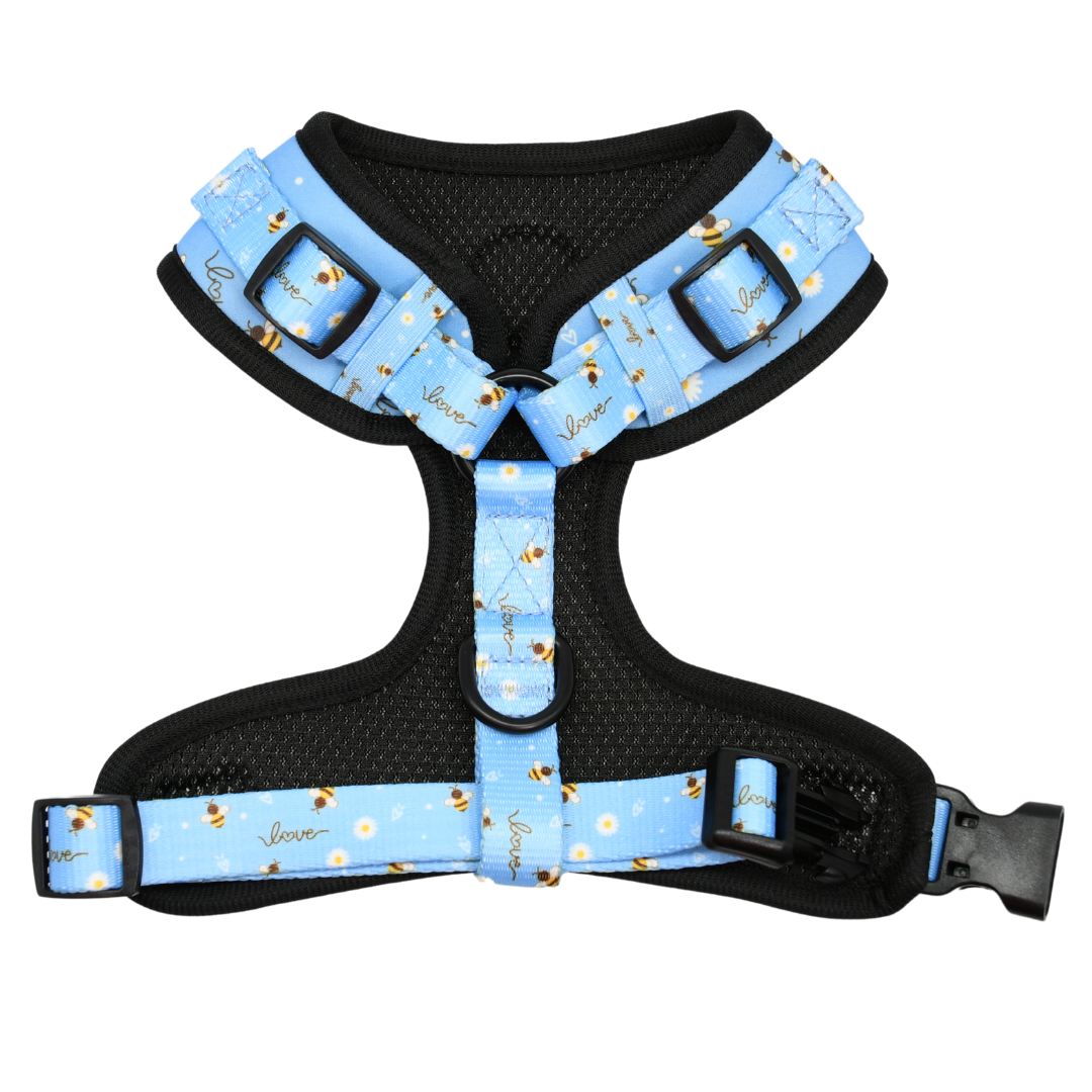 Adjustable Cat Harness - Bee Love