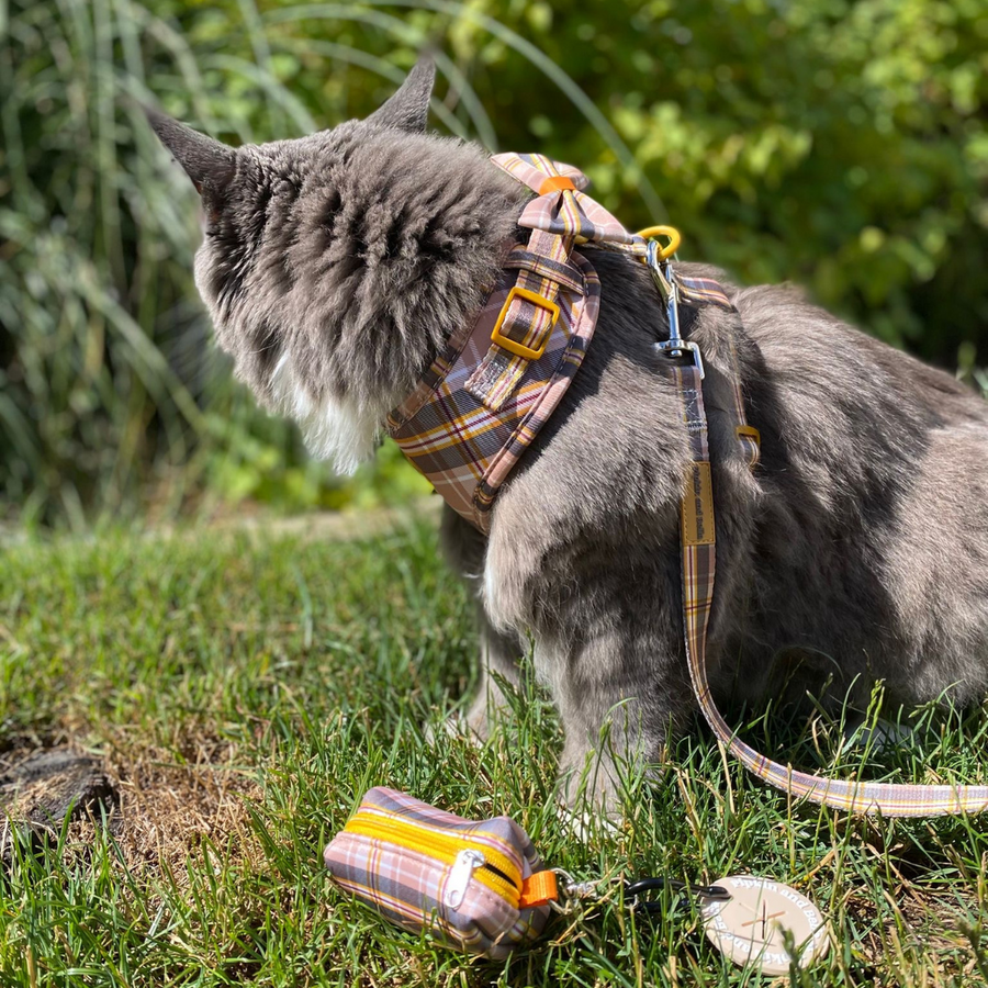 Adjustable Cat Harness - Chestnut Lane