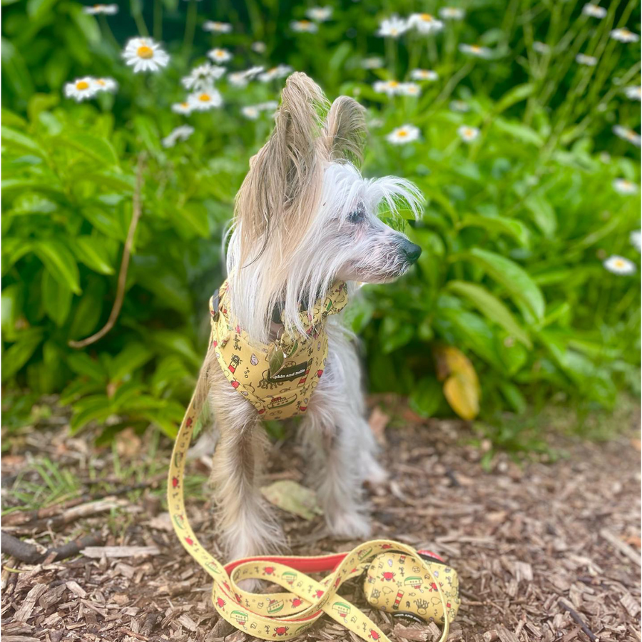 Fabric Dog Lead - Paws Ahoy