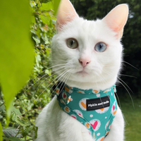 Adjustable Cat Harness - Heart 2 Heart