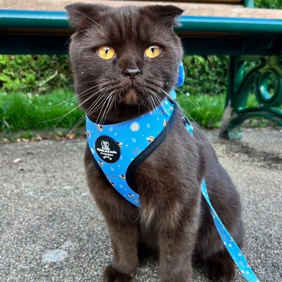 Adjustable Cat Harness - Bee Love