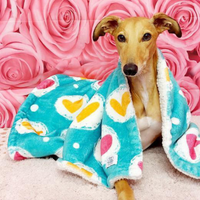 Pet Blanket - Heart 2 Heart