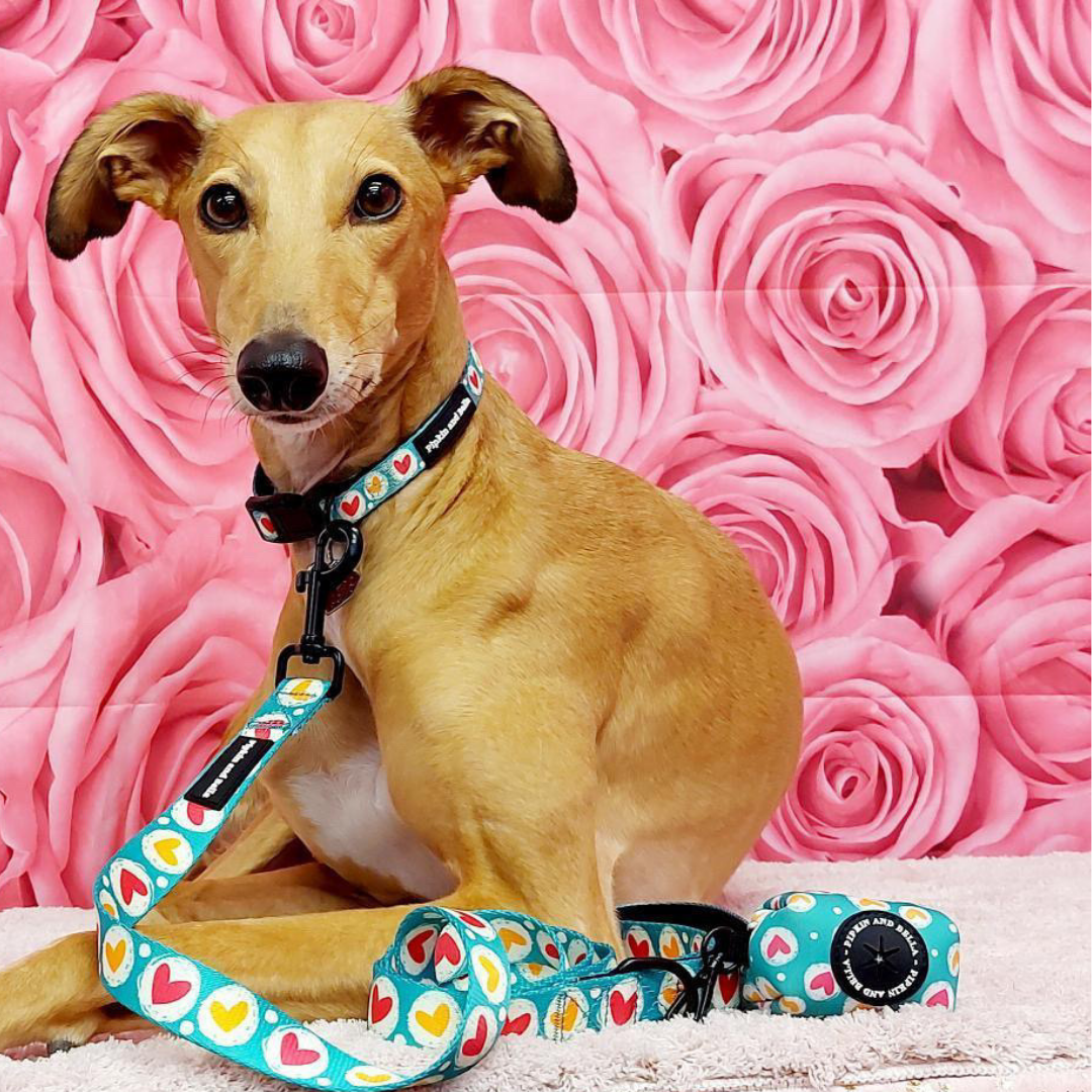 Fabric Dog Lead - Heart 2 Heart