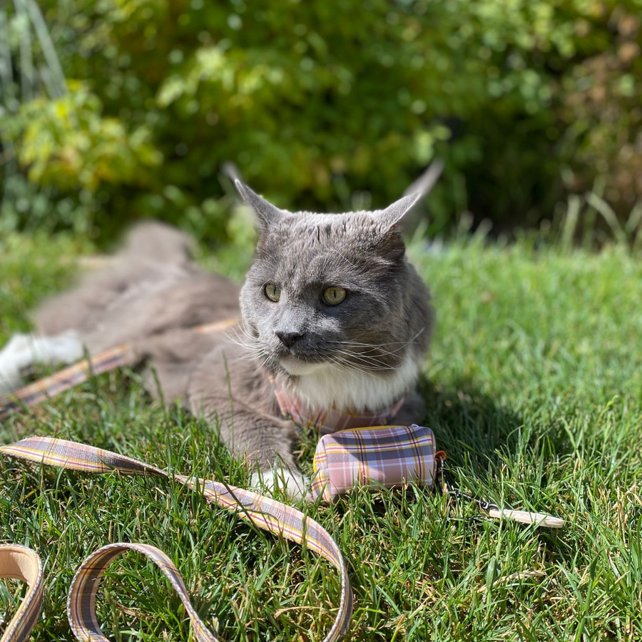 Fabric Cat Lead - Chestnut Lane