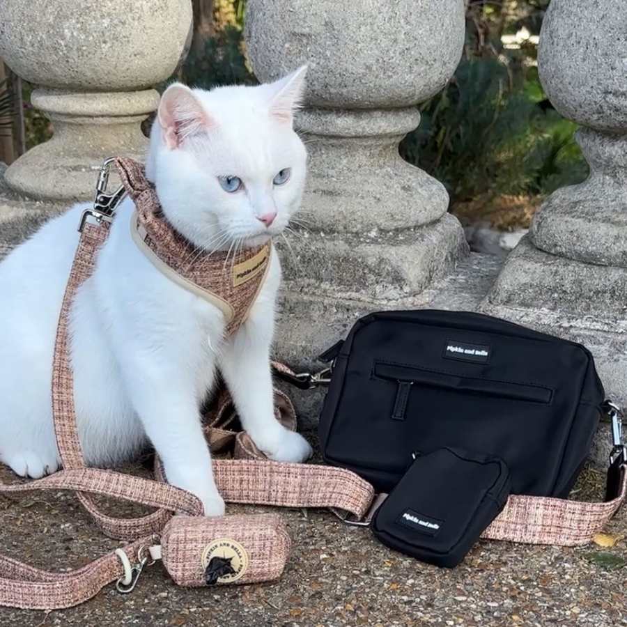Walking Bag - Midnight Black