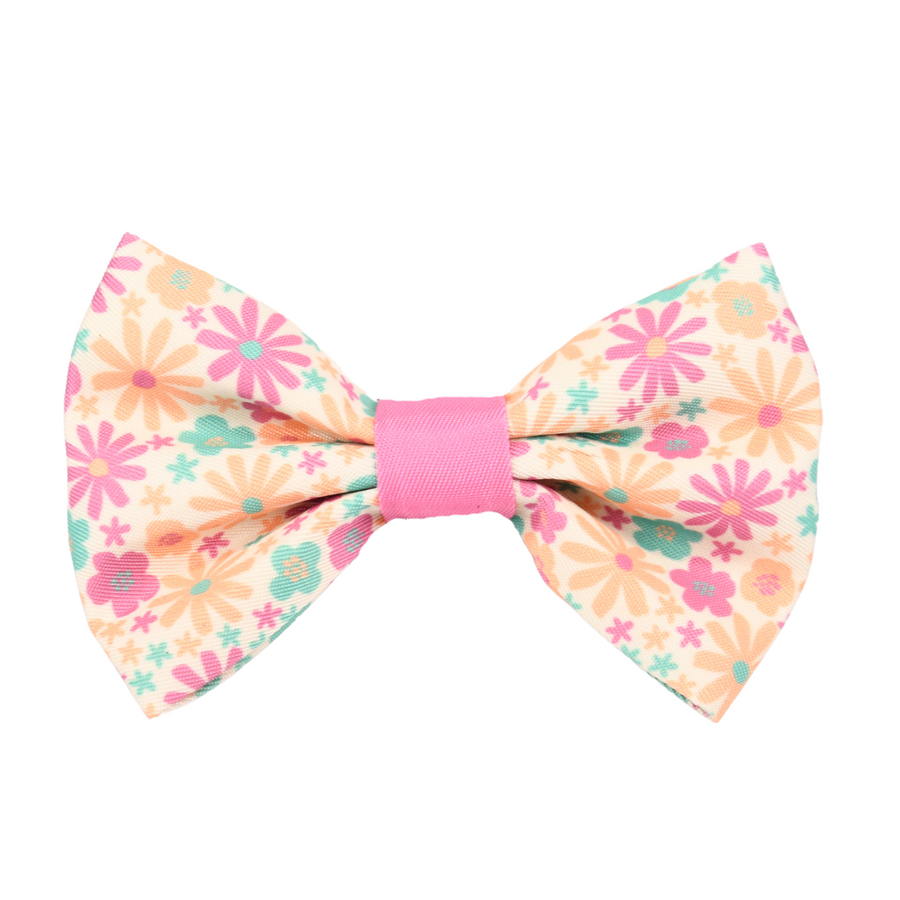 Pet Bow Tie - Blossom